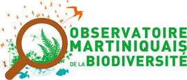 Site banner